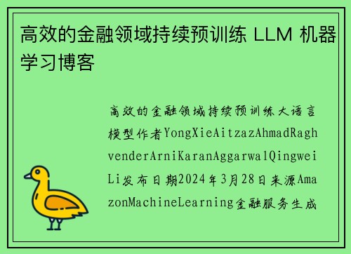 高效的金融领域持续预训练 LLM 机器学习博客