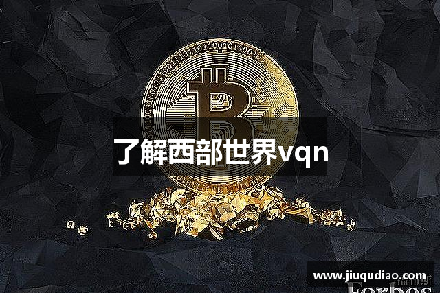 了解西部世界vqn